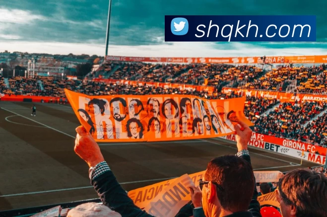 星空官方平台平台生态图